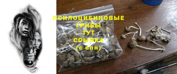 шишки Аркадак