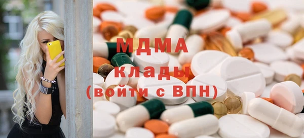 шишки Аркадак