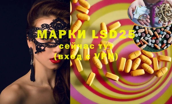 шишки Аркадак